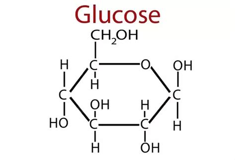 Glucose .